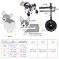 thumbnail image 5 of Fauteuil Roulant pour Chien, Fauteuil Roulant pour Patte Arrière, Fauteuil Roulant pour Chien Patte Arrière Réglable, Fauteuil Roulant pour Animaux Handicapés, 50 % de Réduction, 5 of 5