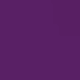 thumbnail image 4 of Playera Blusa De Capybara Recostado Bebiendo Soda Capibara Ropa De Mujer Color Morado Talla Grande Marca Emil SaEs, 4 of 4
