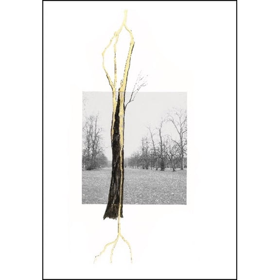 Giuseppe Penone: Thoughts in the Roots, (Hardcover)