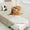 Blanc, variante sur Accessoires pour Animaux Couverture pour Chiens et Chats / Housse de Canapé Durable Lavable pour Grands Petits Moyens / Couverture Protectrice pour Animaux pour Usage Intérieur à la Maison et Meubles