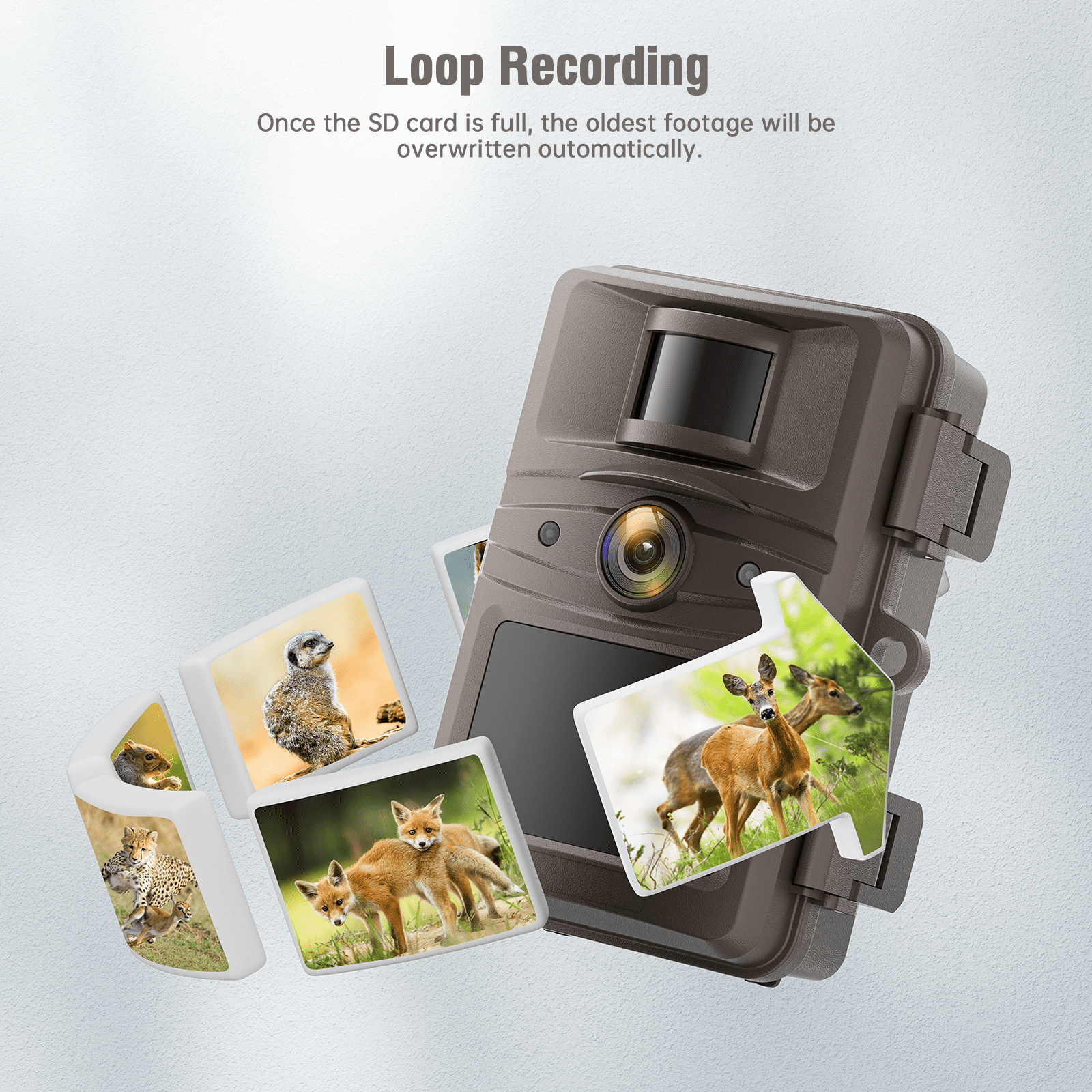 CAMPARK WiFi Trail Camera 4K 32MP Game Deer Cameras with Night Vision Waterproof Motion Activated Hunting Wildlife Cam for Wildlife Monitoring