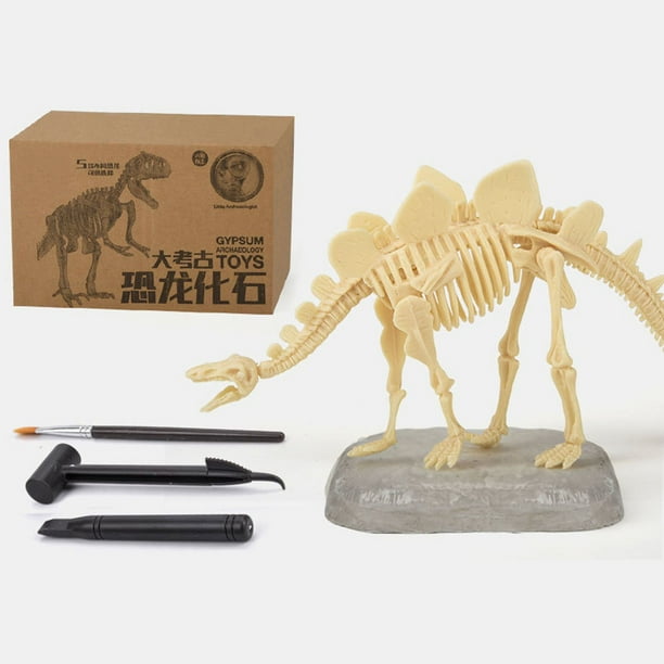 Fiudx Kit de Excavación de Fósiles de Dinosaurio, Resina, Herramientas de Excavación Incluidas, Simulación Arqueológica Realista, Aprendizaje Práctico, Actividad Stem, Regalo Perfecto, 1 Yeso, 3 Herr