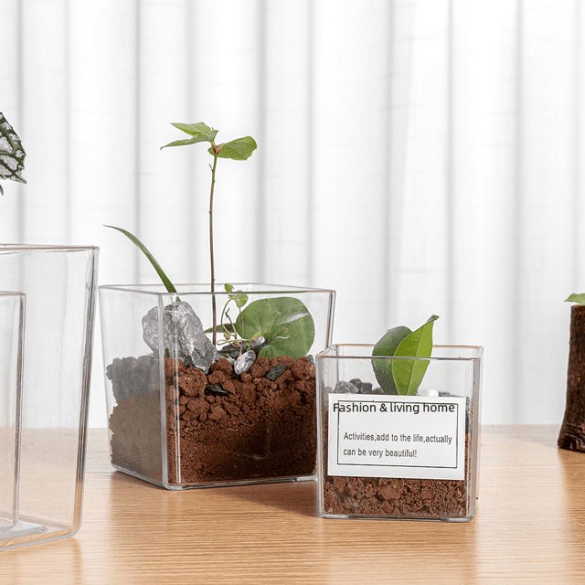 Maceta de plástico transparente cuadrada para plantas hidropónicas, maceta verde, material PS, maceta decorativa con patrón