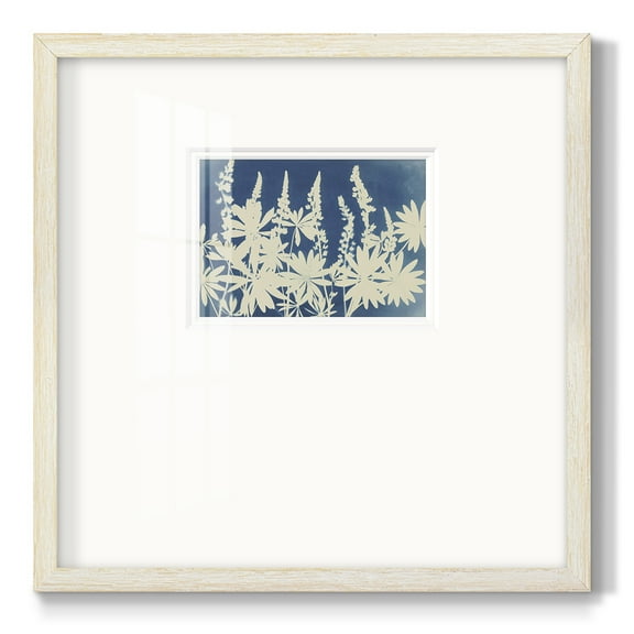 Lovely LupinePremium Framed Print