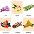 Fragrance Oils Spice Set of 6 Scented for Candle Soap Making Bath Bombs
