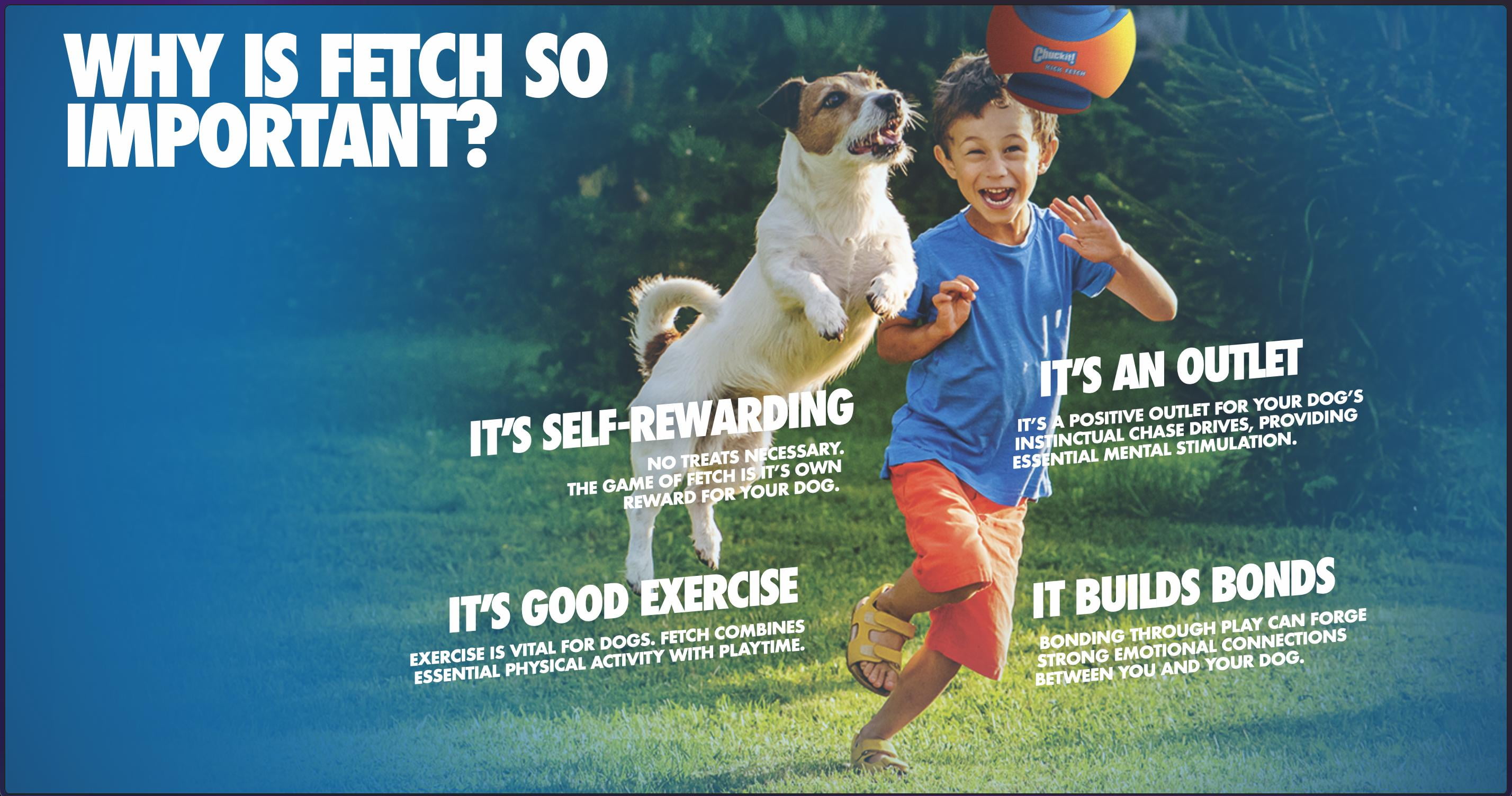 Chuckit! High Bounce Ball Rubber Fetch Dog Toy, Medium 2.5" for Dogs 20 to 60 lb, Pack of 1, Assorted