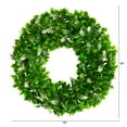 thumbnail image 2 of Nearly Natural Plastic All Occasion Jasmine Artificial Wreath, 13" (Green), 2 of 3