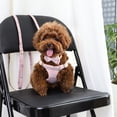 thumbnail image 3 of Pet Artist Step In Paid Dog Harness and Collar and Leash Set Step In Pet Puppy Cat Walking Vest Chihuahua Yorkshire, 3 of 9