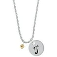 thumbnail image 1 of Delight Jewelry Goldtone Mini February - Purple Crystal Heart Silvertone Script Initial Disc - T - Charm Necklace, 20"+3", 1 of 4