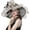Beige, variant on Women Organza Hats Flower Decoration Wide Brim Occasion Event Church Dress Sun Hat