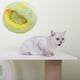 thumbnail image 3 of Cama de gato con capucha de otoño e invierno de felpa con cojín lavable extraíble Zulema Cozy Cave Verde 35cm, 3 of 6