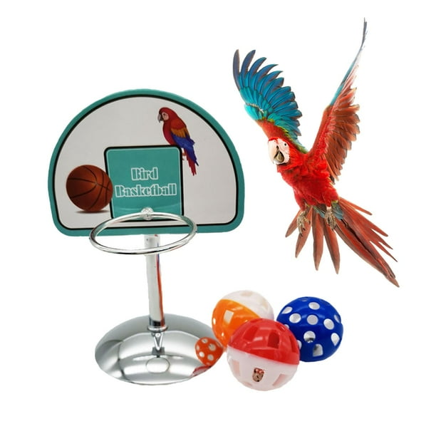 Budgie basketball clearance toy