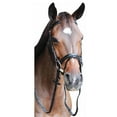 thumbnail image 6 of Henri de Rivel Pro Piaffe Mono Crown Bridle with Flash Noseband with Patent Leather, 6 of 6