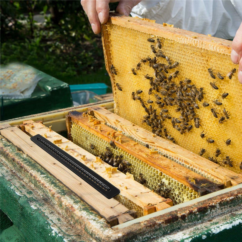 Details about   20pcs Plastic Bee Hive Beetle Blaster Beehive Beetle Trap Case Beekeeping Tools 
