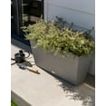 thumbnail image 4 of Veradek Pure Series Midori Planter, 4 of 9