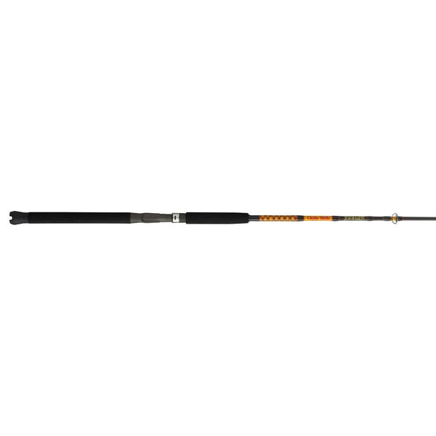 Bigwater Spinning Rod