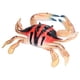 thumbnail image 3 of Modelo De Animal Marino De Cangrejo, Figura De Modelo De Cangrejo Educativo Para Regalos De Niños ANGGREK PL127-1303, 3 of 8