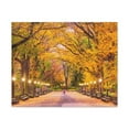 thumbnail image 4 of Orange Tree Autumn Park Nature Wilderness Photography Canvas Wall Art for Home Decor Ready-to-Hang, 4 of 18