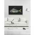 thumbnail image 4 of Marmont Hill "Roosterfish" by Warren Sellers Framed Painting Print, 4 of 6