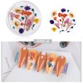 thumbnail image 1 of Uñas postizas, regalos para mujeres, decoración de uñas con flores secas, uñas japonesas, encaje 3D inmortal, juego de narcisos, lentejuelas para uñas., 1 of 2