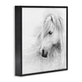 thumbnail image 3 of Stupell Industries Gazing White Toned Horse Animals Photography Black Framed Art Print Wall Art, 24 x 24, 3 of 8