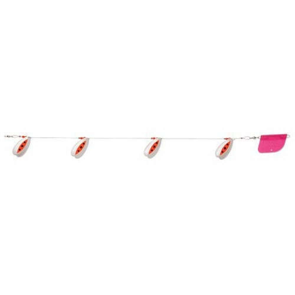 collecting heddon fishing lures Feathered Super Spook Lake Fork Shad 13Fishing® Concept A3 | Lure Color:Glitter Critter collapsible handle 7/8 ounce topwater walking