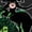 BLACK, variant on Marvel - St. Patrick's Day Incredibly Lucky - Women's French Terry Pullover Sweatshirt