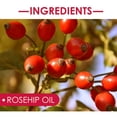 thumbnail image 4 of Huile de Rose Musquée, 100 % Pure & Naturelle Pressée à Froid Meilleure Huile Faciale 30ml, 4 of 5