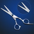 thumbnail image 5 of Pet Hair Cutting Scissor Set Dog Grooming Kit Cat  Thinning  Scissors Shears Pack 4PCS, 5 of 6