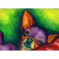 thumbnail image 2 of CafePress - Lazy Chihuahua Throw Blanket - Soft Fleece Throw Blanket, 50"x60" for All Ages, 2 of 2