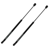 2 Lift Supports Gas Struts Shocks Fits 2009-2019 Fiat 500 Rear Hatch Trunk Cargo Door Liftgate Lifting 68087099AA SG311001 6667 Springs Arms Dampers Rods Pair