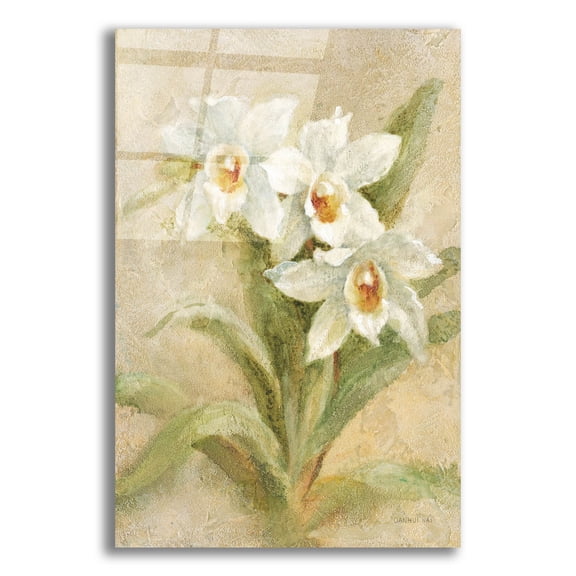 Epic Art 'Dreamy Orchids 2' by Danhui Nai Acrylic Glass Wall Art, 12" x 16"