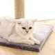 thumbnail image 4 of Youpin Cat Climbing Frame Column Shapen Scratcher Anti Bite Pet, 4 of 8