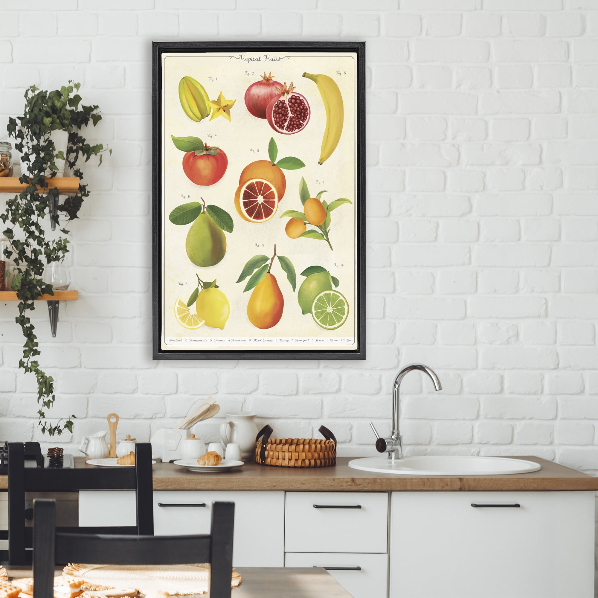Stupell Industries Vintage Tropical Fruit Studies Black Framed Floater Canvas Wall Art, design by Diane Neukirch