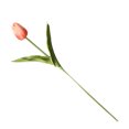 thumbnail image 3 of Toystoory Mini flor artificial, lirio único, tulipán, flor monarca, flor falsa de PU, decoración para el hogar y la Oficina, decoración para Flores artificiales toronja Toystoory HA6563-14B, 3 of 6