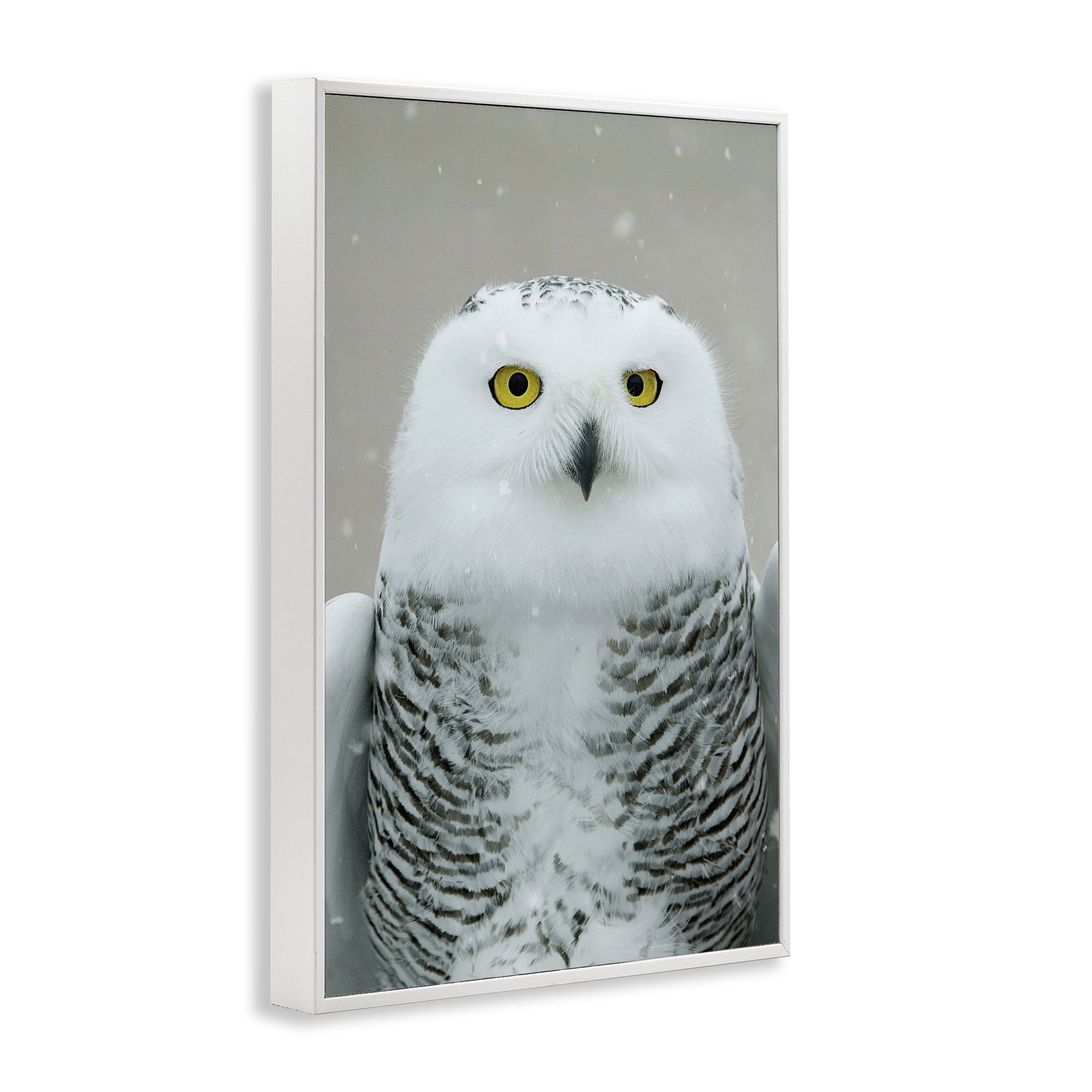 Stupell Industries Snowy Owl Portrait Animals & Insects Photography White Framed Art Print Wall Art, 16 x 24