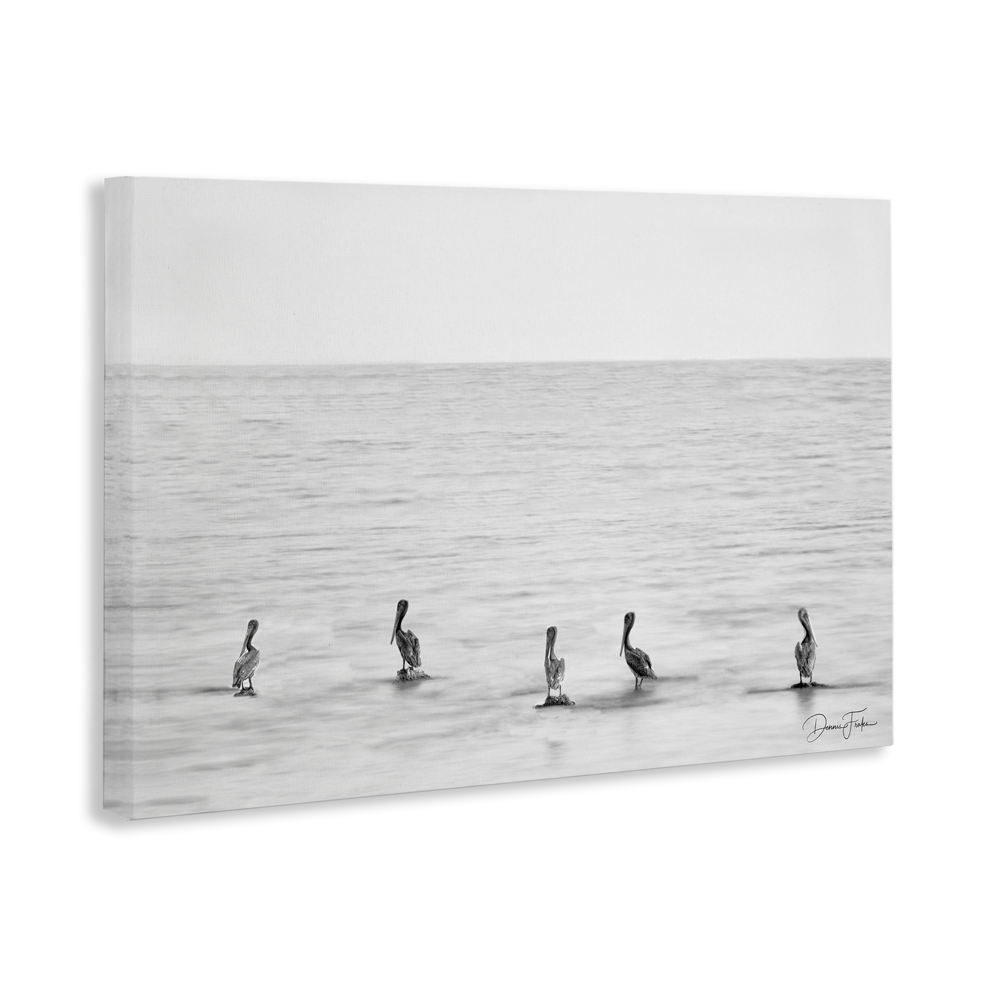 Stupell Industries Pelicans on Shore Landscape Photography Gallery Wrapped Canvas Art Print Wall Art, 30 x 20
