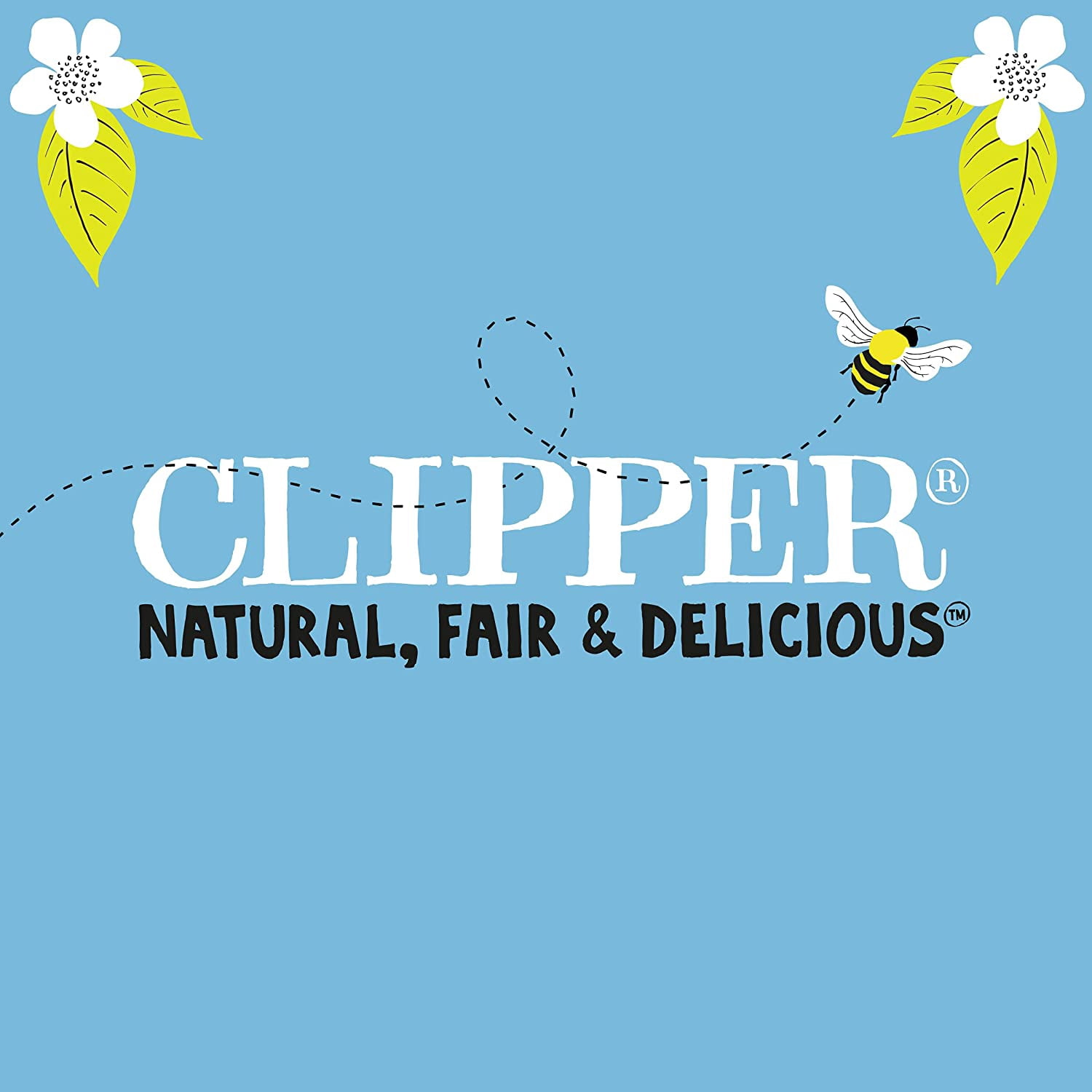 Clipper Organic Fairtrade Green Tea 80S, Imported from Britain