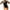 Black, variant on WREESH Womens One Piece Swimsuit Solid Color Swim Suits New Fashion Bikini Backless Sling Small Fresh Swimsuit for Bikinis Tops Sleeveless Bathing Suits Black