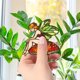thumbnail image 3 of Maceta 3D con flores para enchufar | Diseño infantil | Minijardín de musgo con suculentas | Resina resistente al agua y al óxido | Uso en interiores y exteriores | Adorno para el hogar y la oficina, 3 of 5