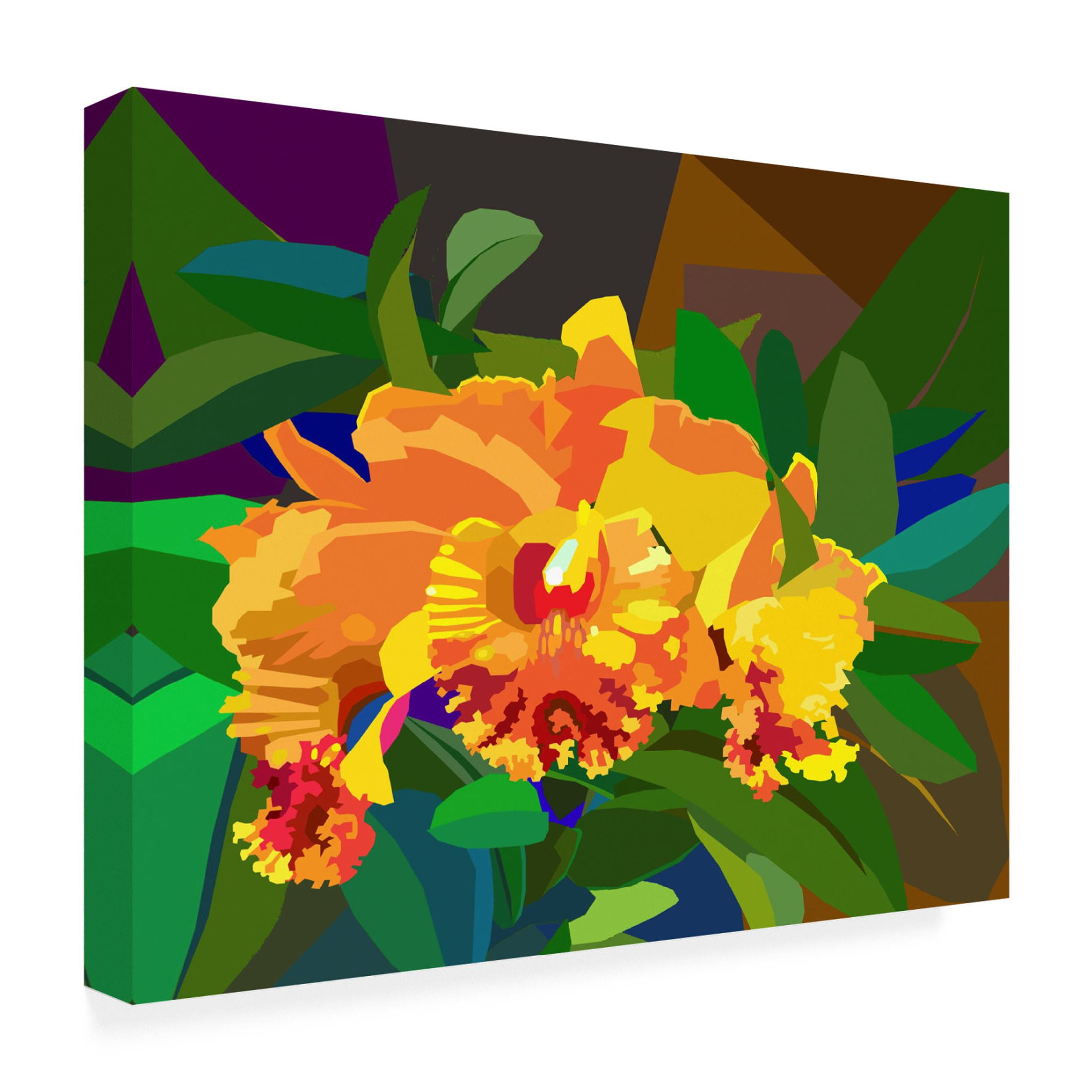 Canvas Wall Art - Surapol Pansanit 'Cattleya Orchid 2' Wall Art for Living Room, Bedroom, or Office Décor by Trademark Fine Art - 47 x 35 Inches