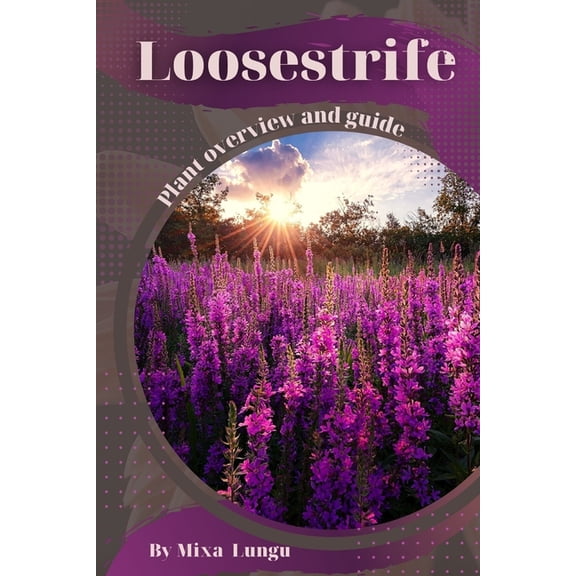 Loosestrife : Plant overview and guide (Paperback)