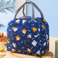 thumbnail image 5 of Bolsa térmica para el almuerzo para mujer, bolsa térmica reutilizable para el almuerzo, para el trabajo, la oficina, viajes, picnic, llama rosa, 5 of 5