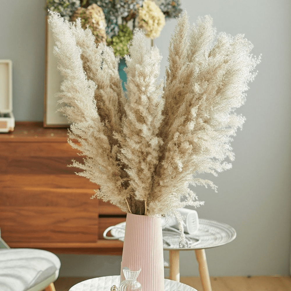 SREED Pack Of 5 Beige Color Wedding Use Fluffy Pampas Dried Pampas Grass Home Decor Dried Reed Dried Flowers Total Length 21inch/55cm