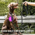 thumbnail image 5 of Strong Dog Leash Pet Leashes Reflective Leash For Big Small Medium Dog Leash Drag Pull Tow Golden Retriever, 5 of 5
