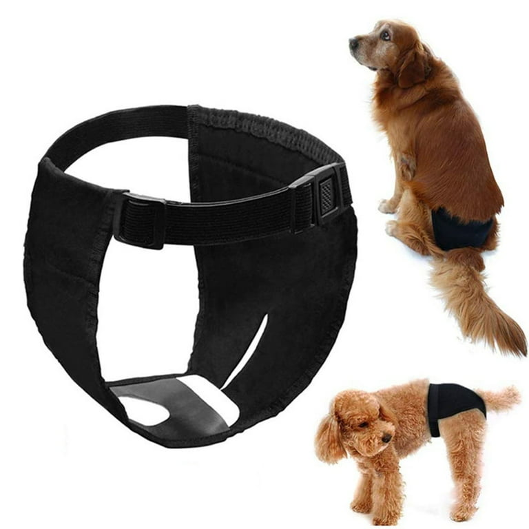 Rubber pants hotsell for dogs