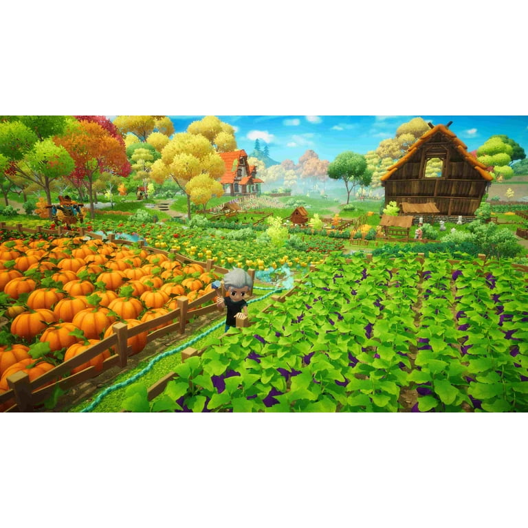 Everdream Valley, Nintendo Switch