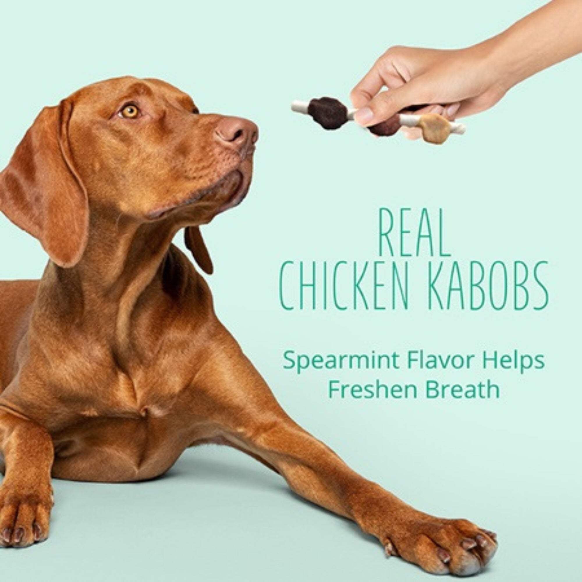 Better Belly Dental Kabobs, Highly Digestable Rawhide Dental Chews, 18 Count