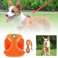 thumbnail image 3 of Reflective Dog Harness with Leash Set Breathable Pet Vest for Puppy Outdoor Walking Training and Easy Control, 3 of 9