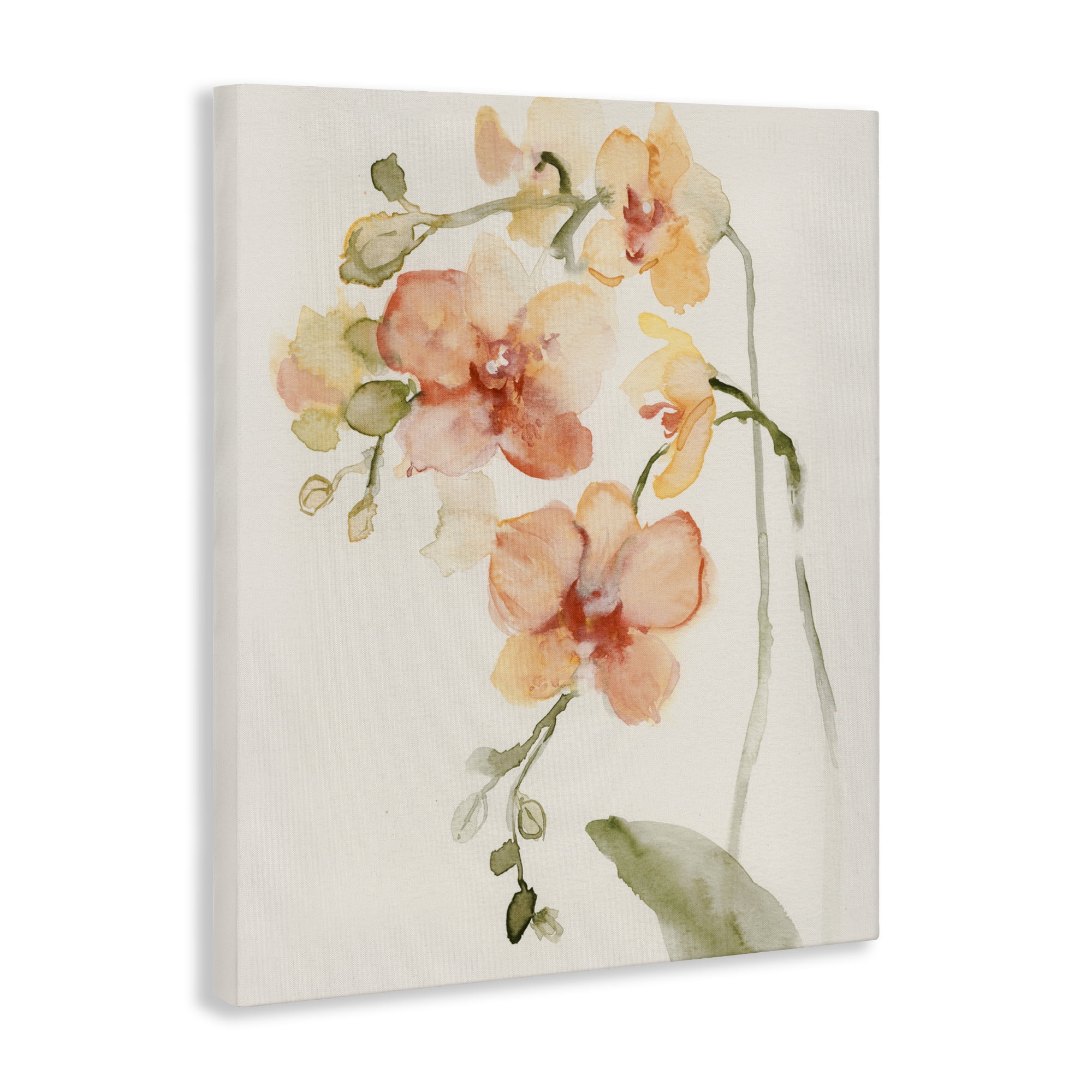 Stupell Industries Peach Orchid in Bloom Canvas Wall Art, design by Victoria Barnes
